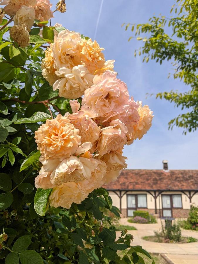 Kingfisher Barn B&B Abingdon-on-Thames Exteriér fotografie