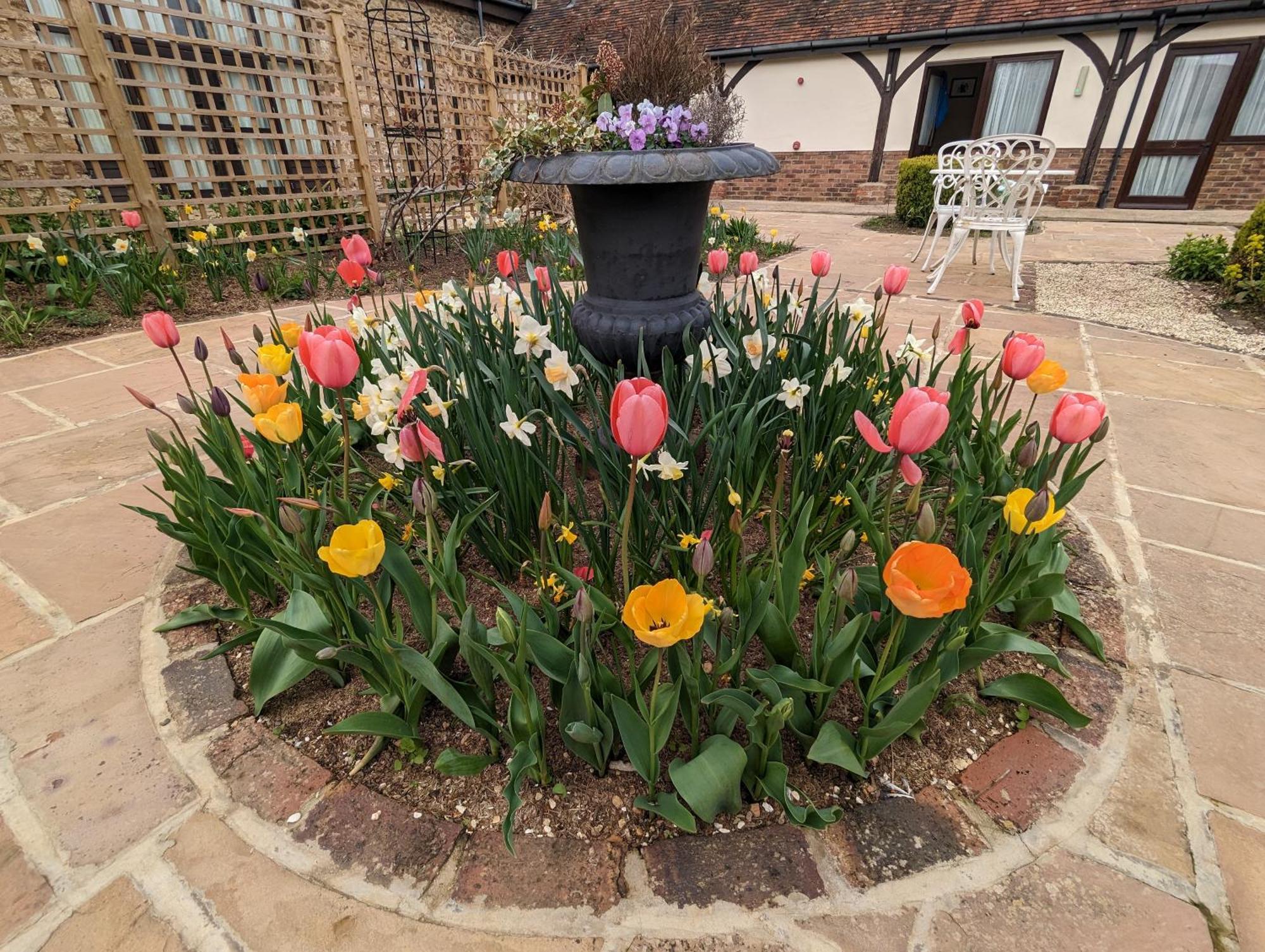 Kingfisher Barn B&B Abingdon-on-Thames Exteriér fotografie